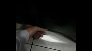 ���ொழுப்பு சேவல் குளியலறையில் படகோட்டி