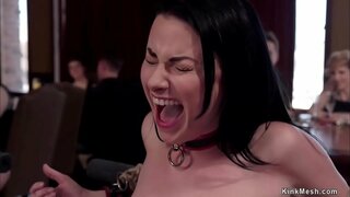 Sirah abdi Veruca James panuntun abdi trainee Sabrina bank-Bank kanggo layanan porn lan padha jancok hard lan ngirim ing lantai ndhuwur pesta seks bdsm katelu